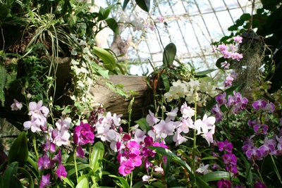 20100610flowerdome.jpg