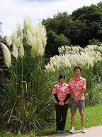 20100901pampas3.jpg