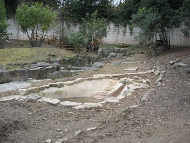 20110120baku1.jpg
