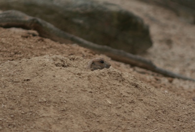 20110517o.jpg