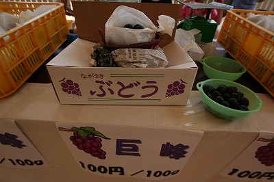 20110917grapes.jpg