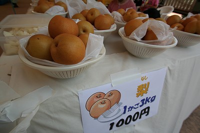 20110917pears.jpg