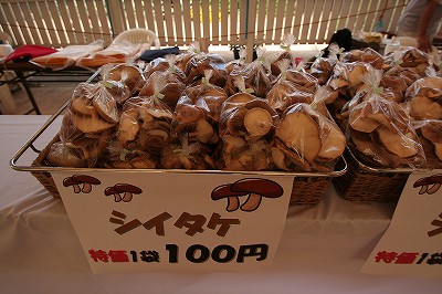 20110917shiitakemushroom.jpg