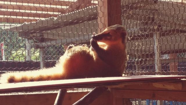 20170514_082723.jpg