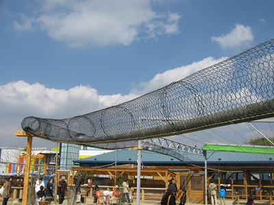 20130223risuzaru01.jpg